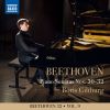 Download track Piano Sonata No. 30 In E Major, Op. 109 II. Prestissimo