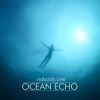Download track Echo