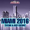 Download track Miami 2016 (Future & Deep Edition) (Continuous Dj Mix)