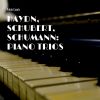 Download track Piano Trio No. 1, In B-Flat Major Op. 99 D. 898: III. Scherzo - Allegro Trio