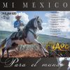 Download track Que Se Acabe El Mundo (Mariachi)
