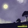Download track Moonbeam