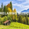 Download track Relaxing Meditation Vibe New Age