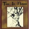 Download track Trees