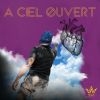 Download track Le Ciel Pleure