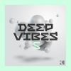 Download track Deep Vibes Mix (Continuous DJ Mix)