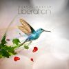 Download track Liberation