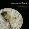 Download track Bach: Violin Sonata In G Major, BWV 1021 (Arr. For Dulcimer And Organ By Margit Übellacker And Jürgen Banholzer): II. Vivace