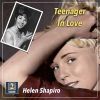 Download track Teenager In Love