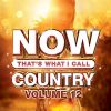 Download track What Makes You Country