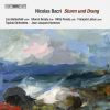 Download track Symphony No. 4, Op. 49, 'Sturm Und Drang' - I. Allegro Fuocoso - Omaggio A Rich...