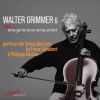Download track Schubert: String Quintet In C Major, Op. 163, D. 956: III. Scherzo. Presto