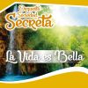 Download track La Vida Es Bella