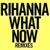 Download track What Now (R3hab Remix)