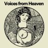 Download track Angelic Voices