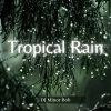Download track Tropical Rain