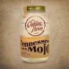 Download track Tennessee Mojo