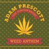 Download track Weed Anthem