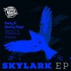 Download track Skylark (Benny Page Remix)