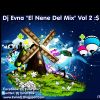 Download track Nadie Te Amara Como Yo (Verc 2011) (El Nene Del Mix)