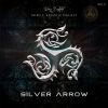 Download track Silver Arrow (Acoustic Version)