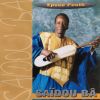 Download track N Diarou