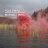 Download track Temperamental