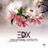 Download track Collateral Effects (Original Mix)