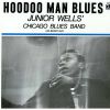 Download track Hoodoo Man Blues
