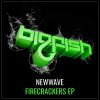 Download track Firecrackers