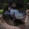 Download track My Pet Axolotl (Jaron K. Remix)