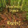 Download track Freedom Of Choice