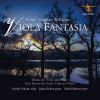 Download track Suite For Viola & Orchestra (Arr. For Viola & Piano): VIII. Galop