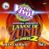 Download track Zuni - Mix 18: La Frontera / Borracho De Amor / Los Alambrados / El Retrato De Mi Madre / Mándale Una Carta A Tu Marido (En Vivo)