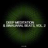 Download track Release Negativity Meditation (Intro Theme)