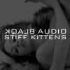 Download track Stiff Kittens (Assemblage 23 Remix)