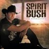 Download track Spirit Of The High Country