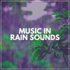 Download track Why Is It Raining Today
