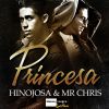 Download track Princesa (Radio Edit)