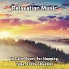 Download track Relaxation Music, Pt. 14
