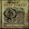 Download track Deep Forest (Dream City Mix)