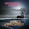Download track Wonderful Dream