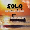 Download track Solo (Instrumental Clean Bandit And Demi Lovato Cover Mix)