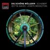 Download track Schubert: Die Schöne Müllerin, Op. 25, D. 795: Xiii. Mit Dem Grünen Lautenbande