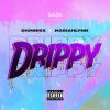 Download track Drippy