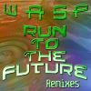 Download track Run To The Future (Alternative Mix)