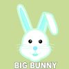 Download track Do The Impossible (Big Bunny Remix)