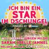 Download track König Von Deutschland