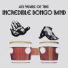 Download track Bongo Rock