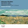 Download track Piano Trio No. 3 In C Minor, Op. 101: III. Andante Grazioso
